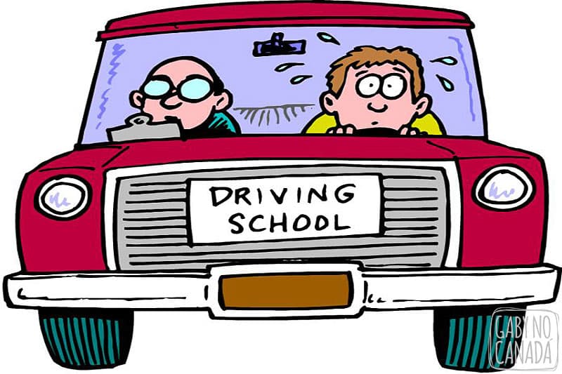 drivers-ed-cartoon